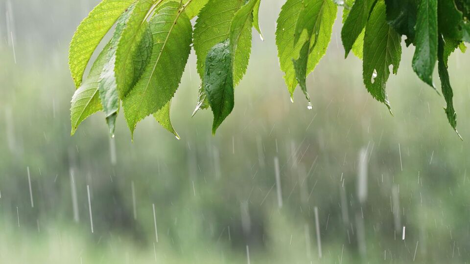 В некоторых областях возможны грозы