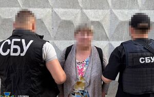 Фигурант находится под стражей, ей может угрожать пожизненное заключение