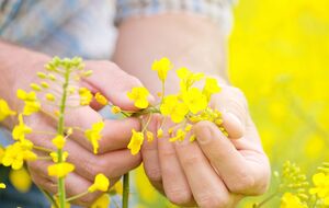 ВАС: В Украине перерабатывающих мощностей достаточно, единственная проблема – нежелание переработчиков дать конкурентную закупочную цену