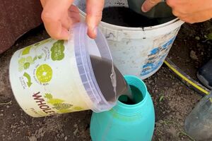 Обробляти ділянку потрібно вранці, переконавшись, що не буде дощу