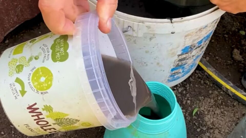 Обрабатывать участок нужно рано утром, убедившись, что не будет дождя