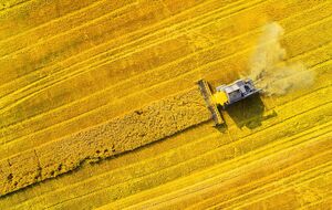 Экспортная пошлина фактически станет скрытой дотацией для перерабатывающей отрасли за счет аграриев, предостерегают эксперты