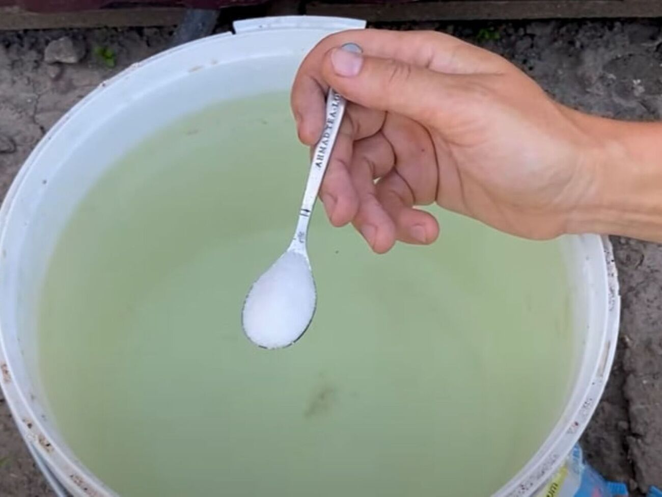 Для підживлення смородини знадобиться монофосфат калію