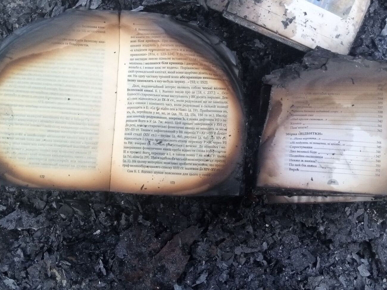 Шовкошитный: Сегодня я собственными руками разгребал пепел 14 лет своей жизни