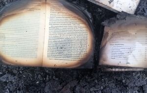 Шовкошитный: Сегодня я собственными руками разгребал пепел 14 лет своей жизни