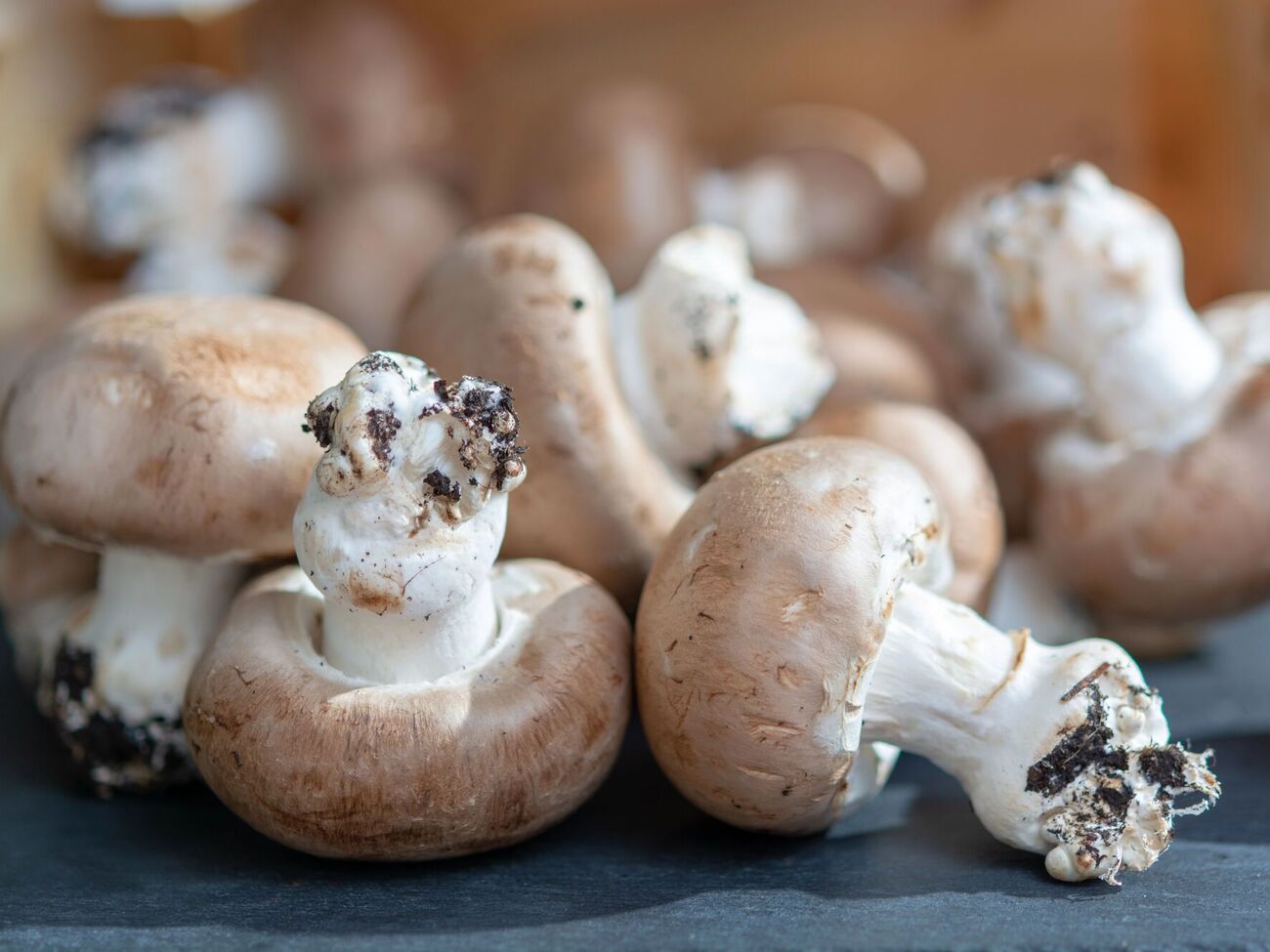 Печериці нескладно виростити в домашніх умовах