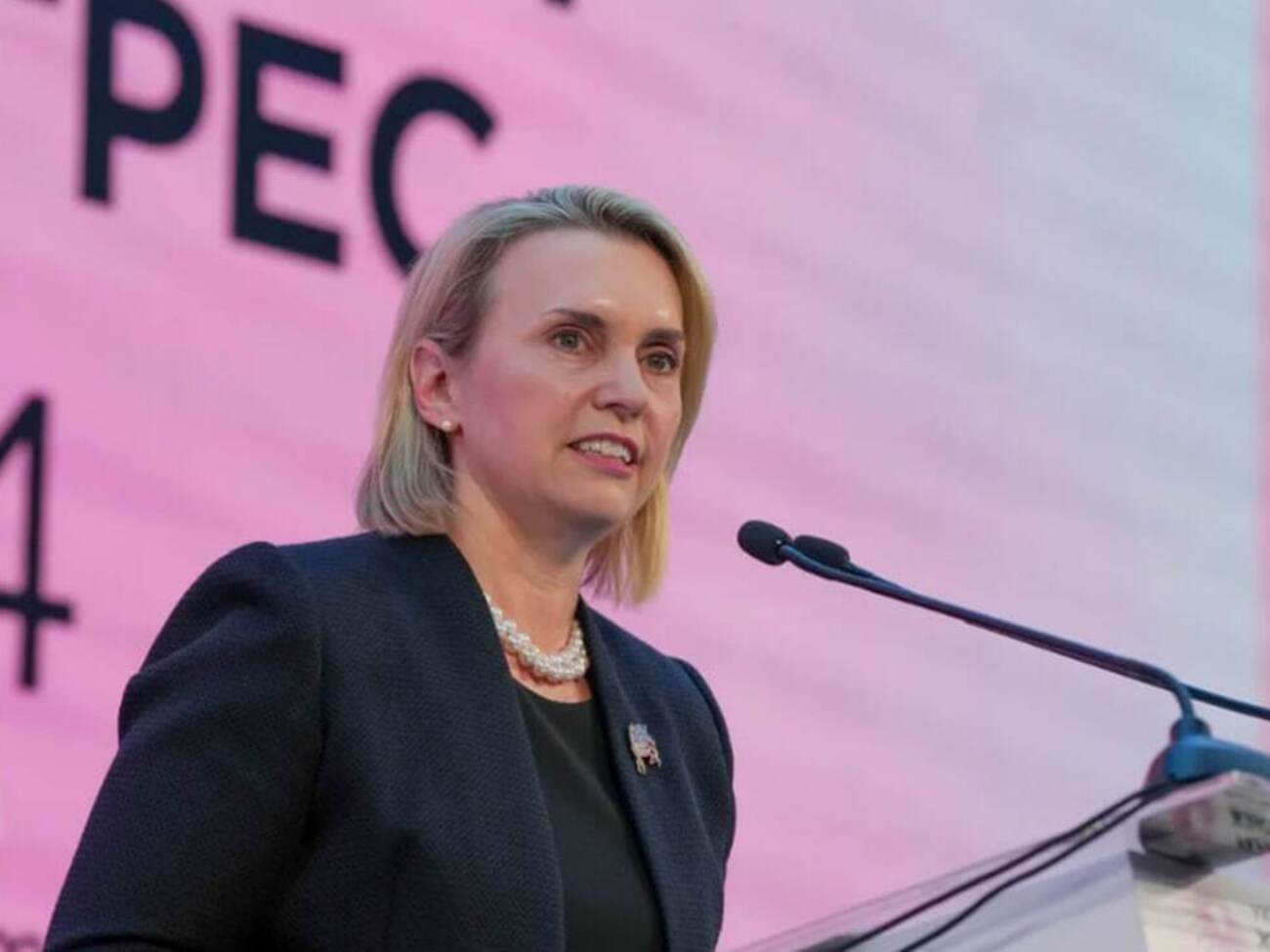 Бывший посол США в Украине Бриджит Бринк