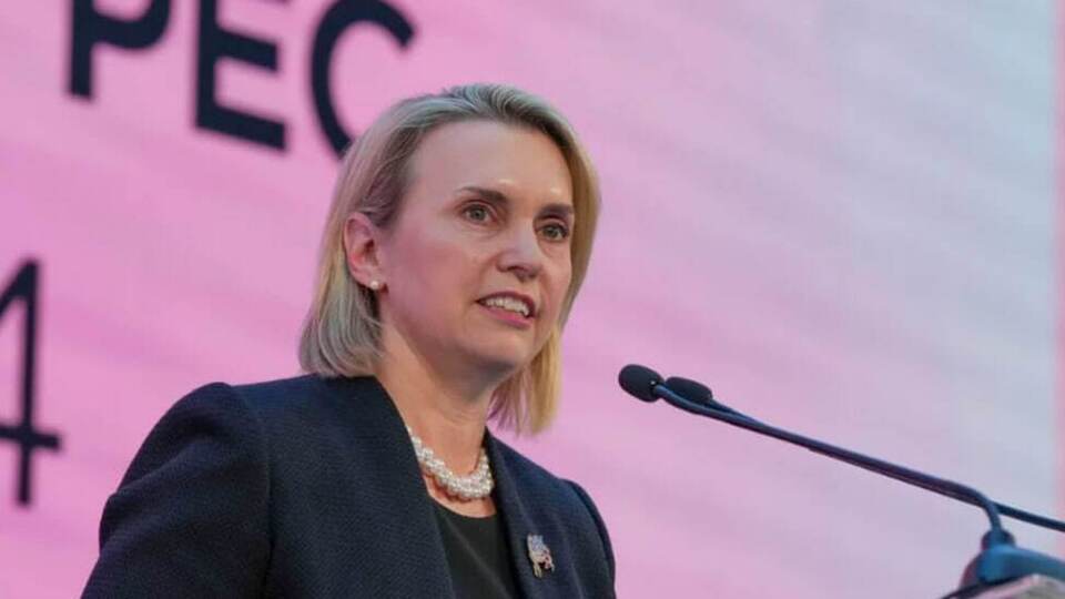 Бывший посол США в Украине Бриджит Бринк