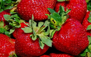 Полуниця збільшиться в розмірі