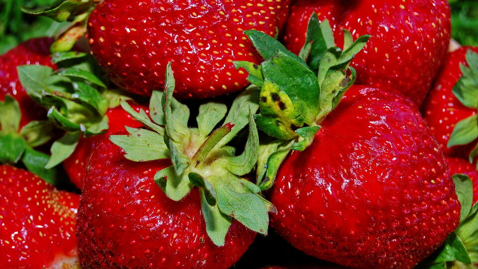 Полуниця збільшиться в розмірі