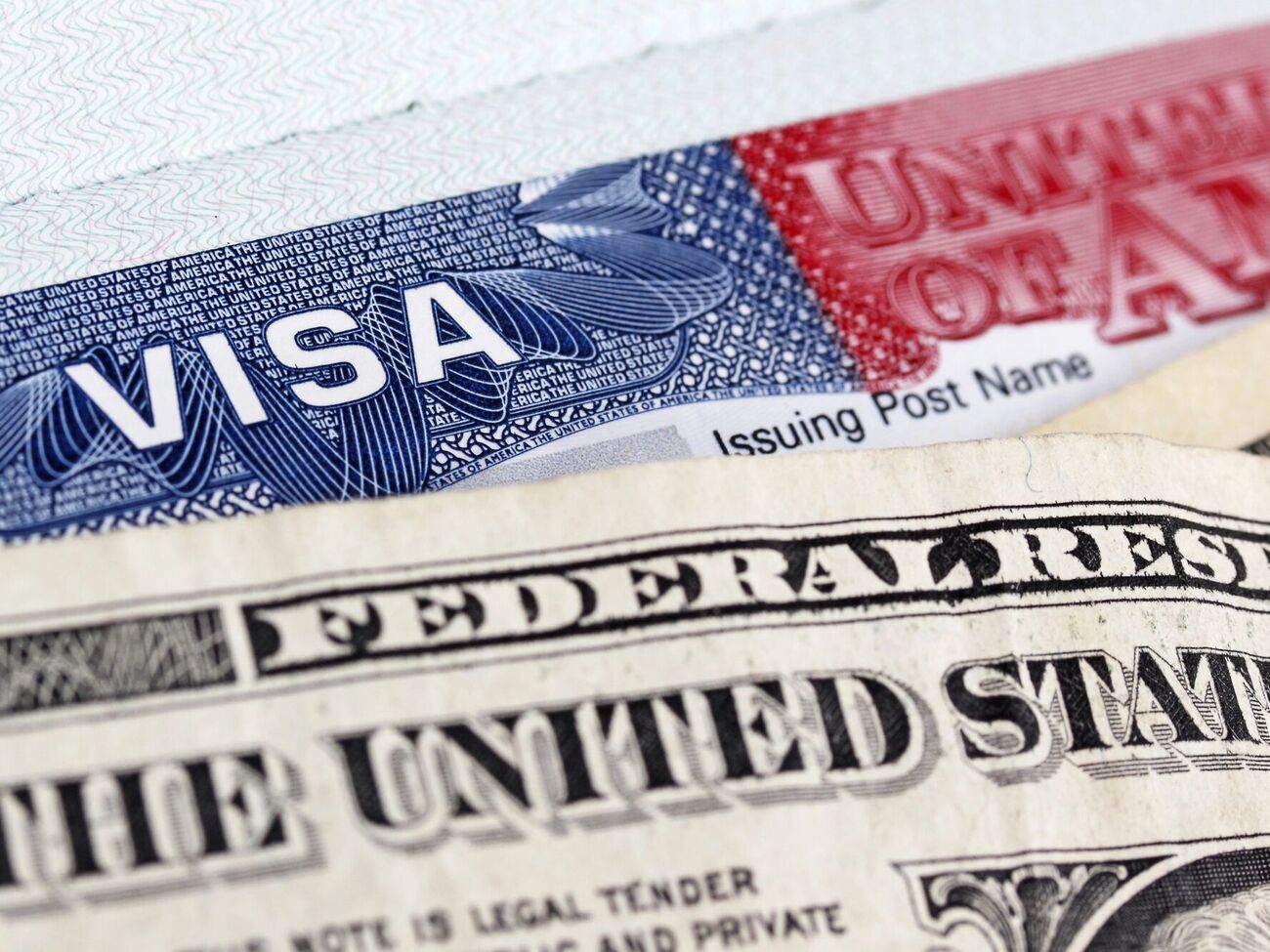 Выдачу студенческих виз для иностранцев приостановили в мае