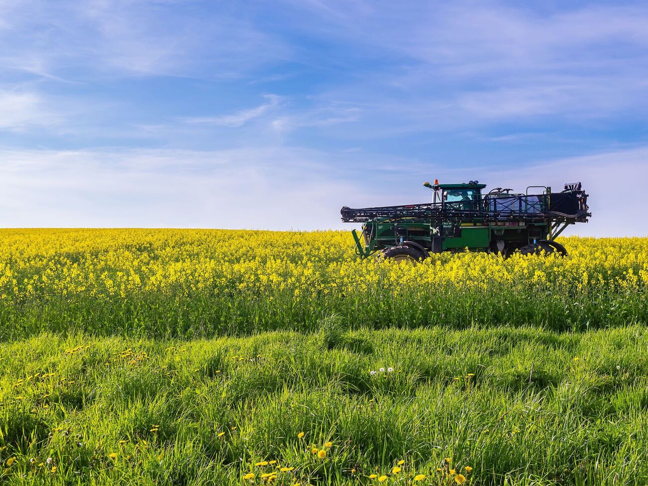"Соевые правки" не прошли, написал нардеп Железняк