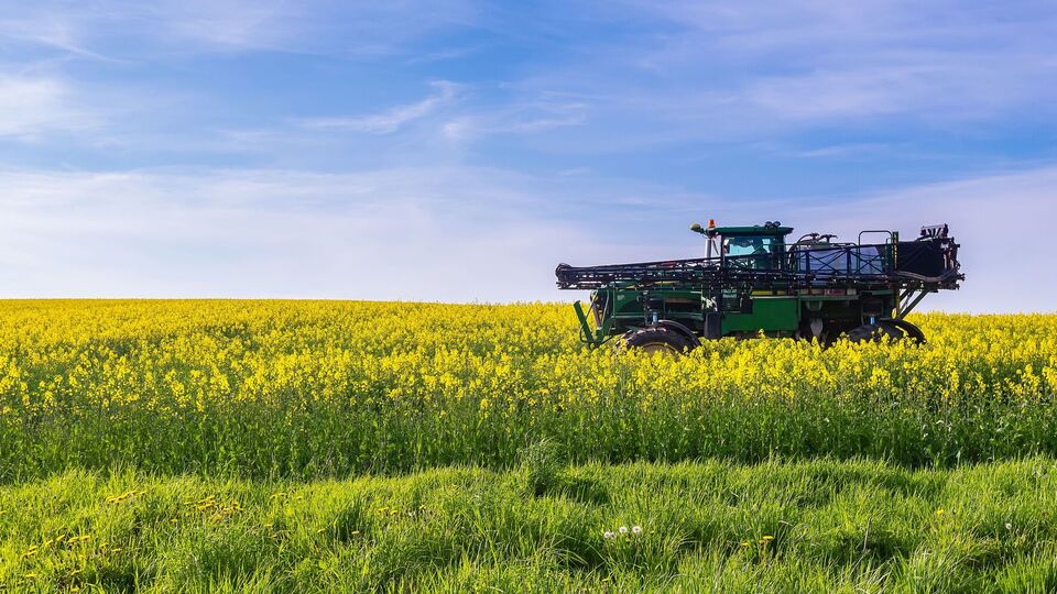 "Соевые правки" не прошли, написал нардеп Железняк
