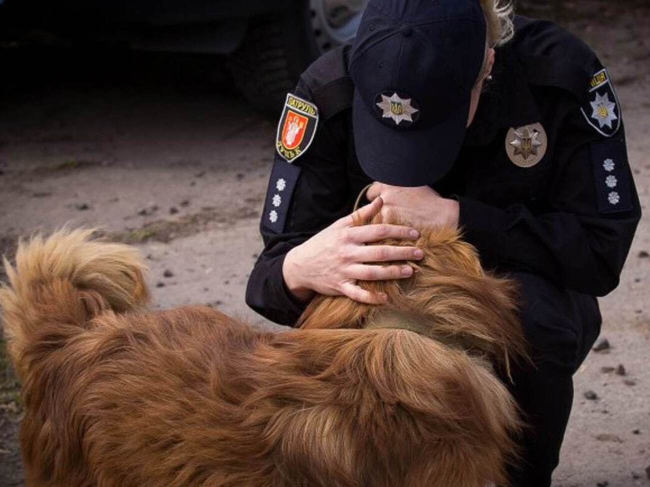 Резкий всплеск произошел весной текущего года, говорят аналитики