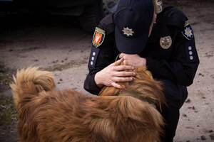 Резкий всплеск произошел весной текущего года, говорят аналитики