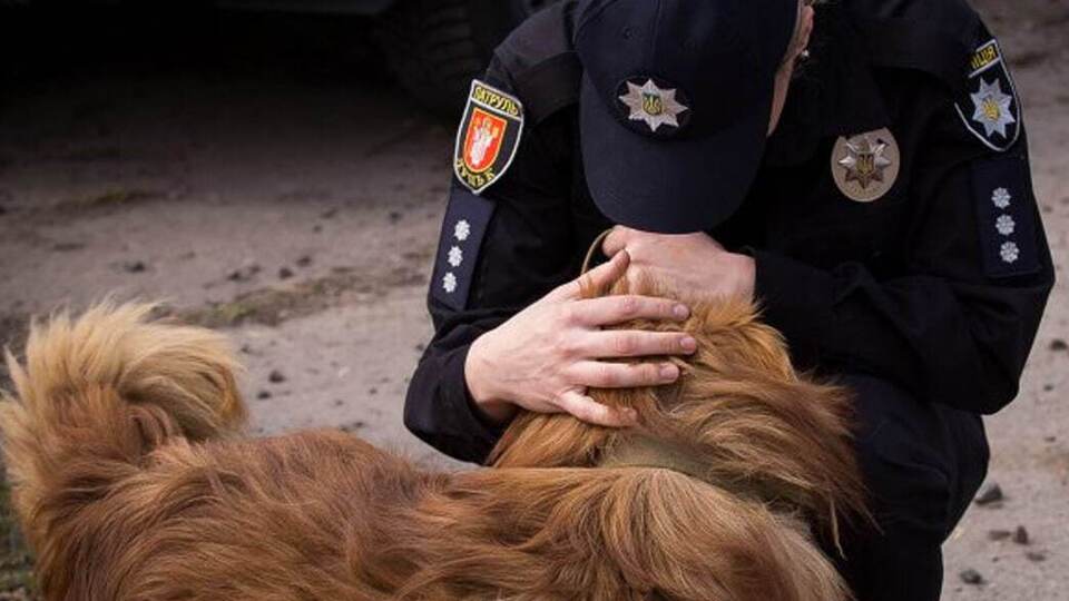 Резкий всплеск произошел весной текущего года, говорят аналитики