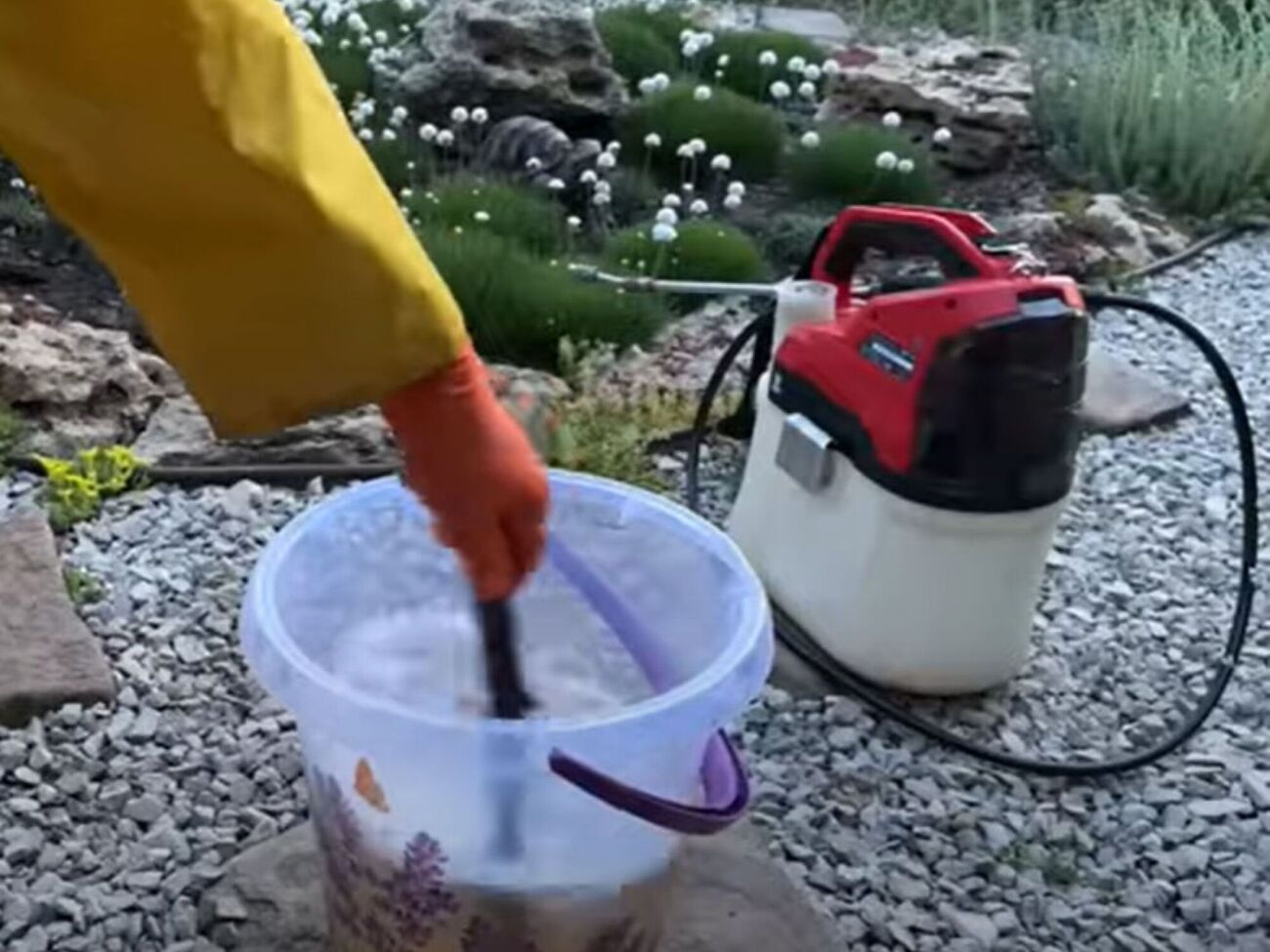 Если белокрылка уже атаковала участок, опытные огородники рекомендуют использовать для борьбы с ней проверенные инсектициды