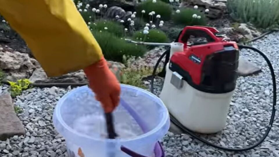 Если белокрылка уже атаковала участок, опытные огородники рекомендуют использовать для борьбы с ней проверенные инсектициды