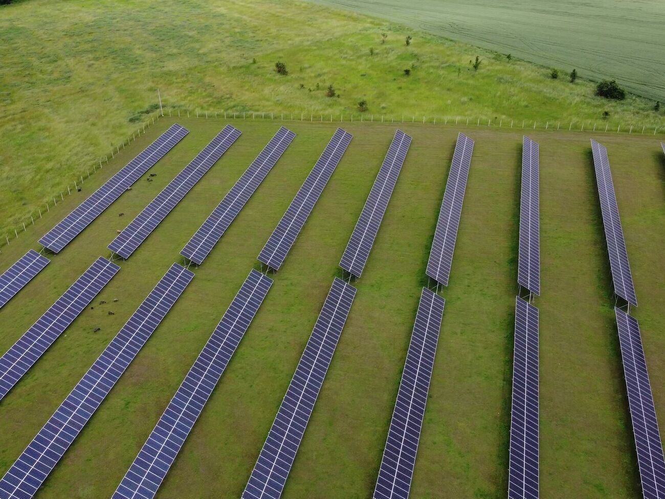 Брехт: Проблема не в наших расчетах, а в работе сегмента рынка в принципе