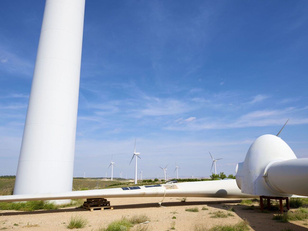 Центр Разумкова: Единственным путем преодоления кризиса является обеспечение платежеспособности всех участников рынка