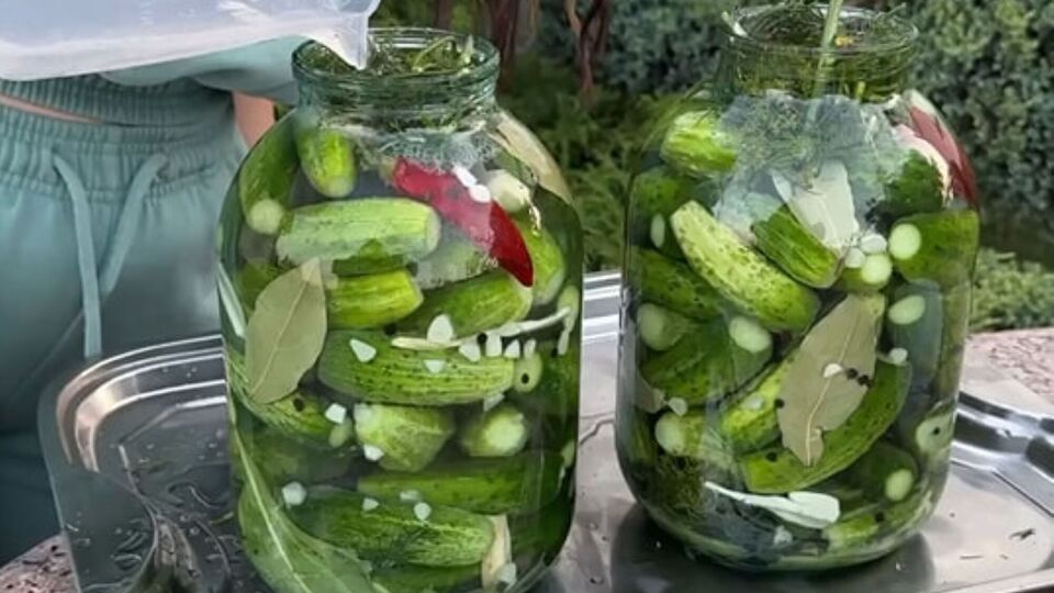 Для засолки автор блога посоветовала выбирать маленькие и средние огурцы