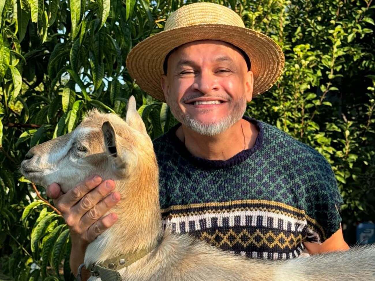 Хіменес-Браво показав, як готує сирну закуску