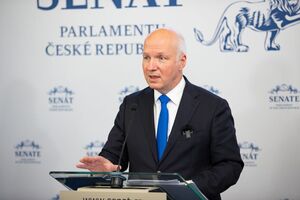 Фишер считает, что действовать должны парламенты демократических стран