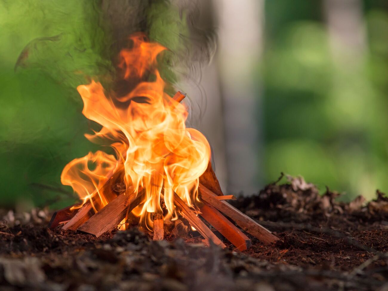 Слушателей курсов учат выживать в лесу и разводить костер без спичек