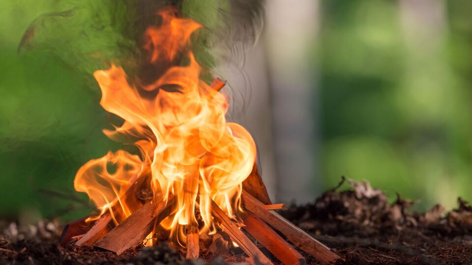 Слухачів курсів навчають виживати в лісі й розводити багаття без сірників