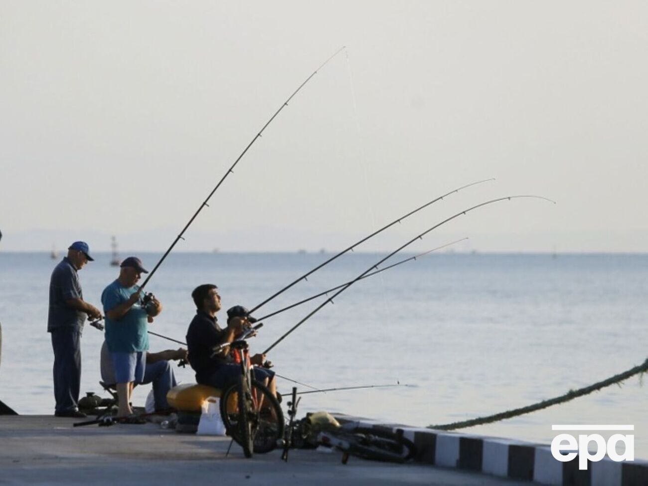 Тетраодон серебристый происходит из Индо-Тихоокеанского региона, но через Суэцкий канал проник в Средиземное море, а затем и в Черное