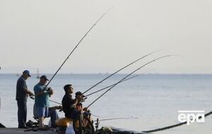 Тетраодон серебристый происходит из Индо-Тихоокеанского региона, но через Суэцкий канал проник в Средиземное море, а затем и в Черное