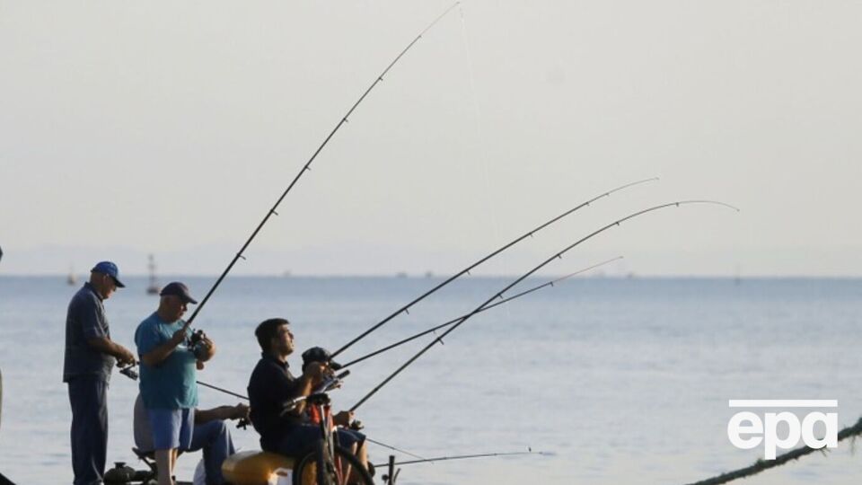 Тетраодон сріблястий походить з Індо-Тихоокеанського регіону, але через Суецький канал потрапив до Середземного моря, а згодом і до Чорного