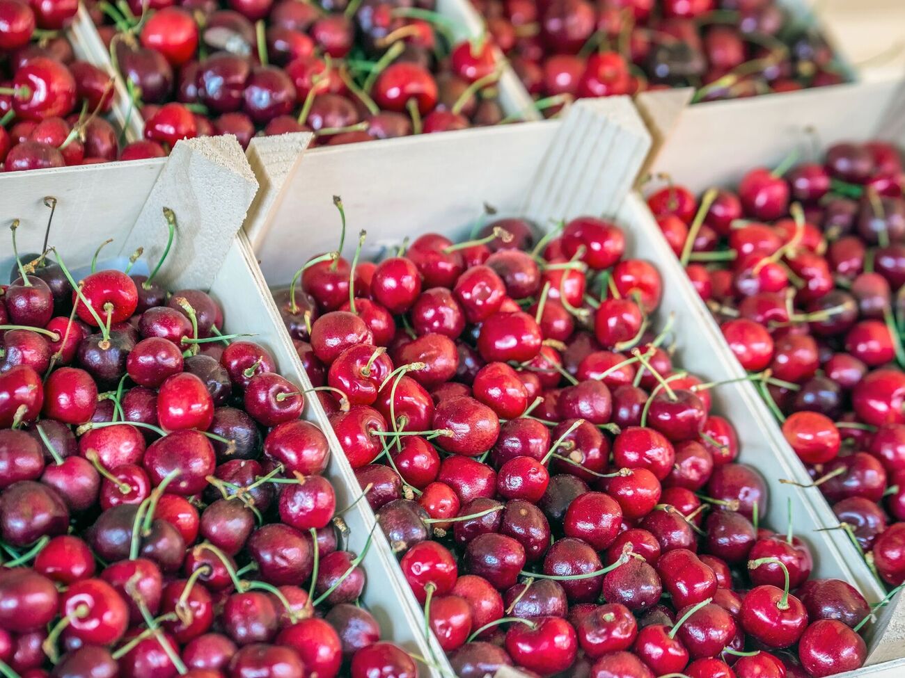 Качество черешни не всегда соответствует цене