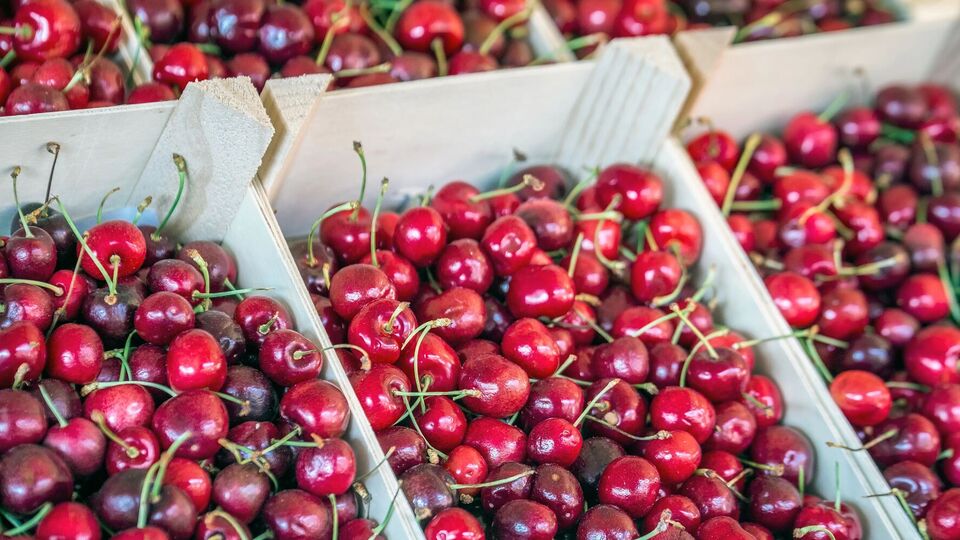 Якість черешень не завжди відповідає ціні