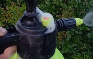 Избавиться от мучнистой росы поможет сода