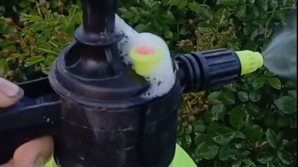 Избавиться от мучнистой росы поможет сода