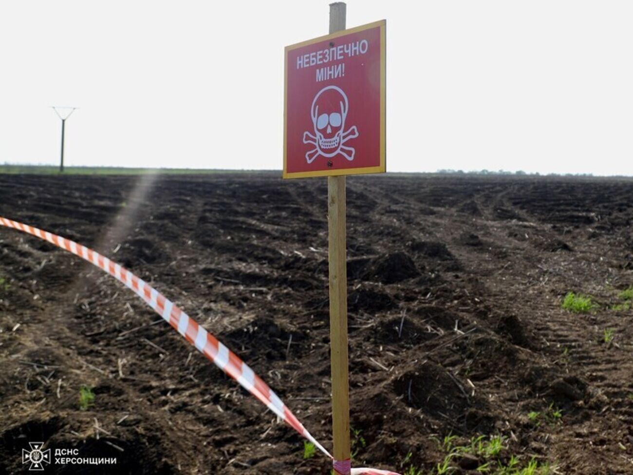 По словам нардепа, 29 июня Зеленский подписал указ