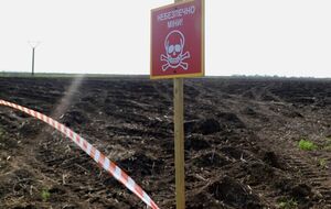 За словами нардепа, 29 червня Зеленський підписав указ