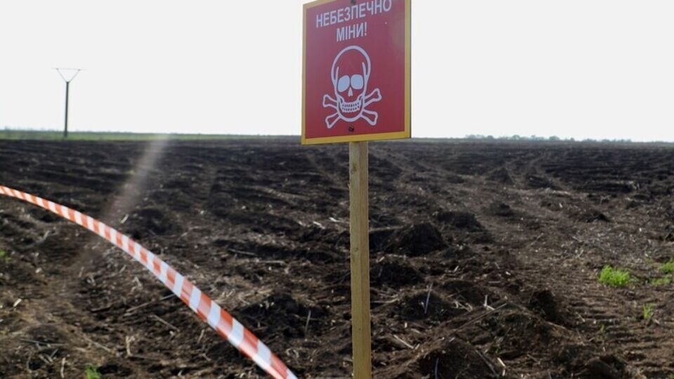 По словам нардепа, 29 июня Зеленский подписал указ