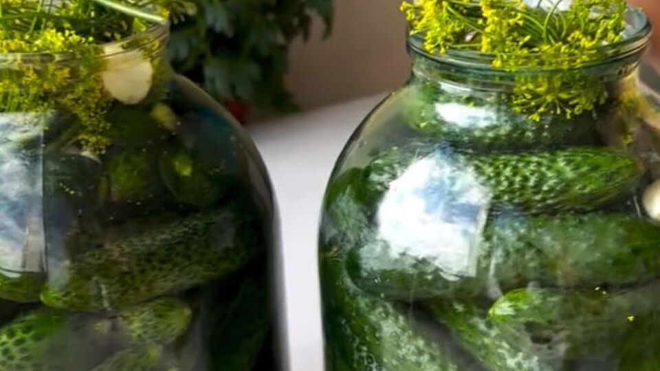 Огірки потрібно замочити на кілька годин у холодній воді