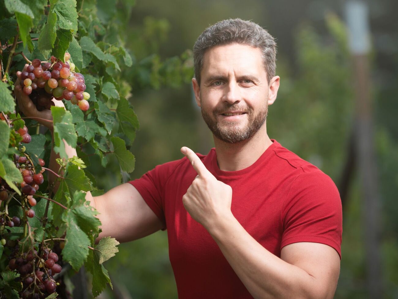 Пасынкование имеет некоторые ограничения