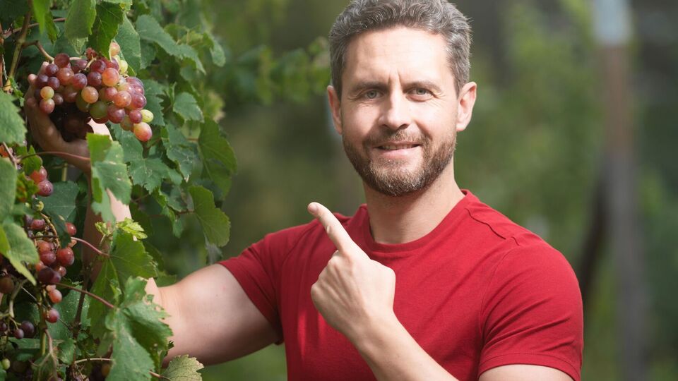 Пасынкование имеет некоторые ограничения