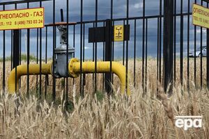 Зараз країни ЄС розглядають можливість проведення економічного і юридичного аналізу в межах усього союзу, зазначає ЗМІ