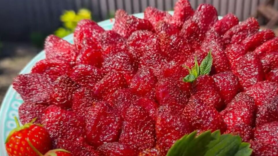 Клубника для цукатов должна быть твердая и спелая