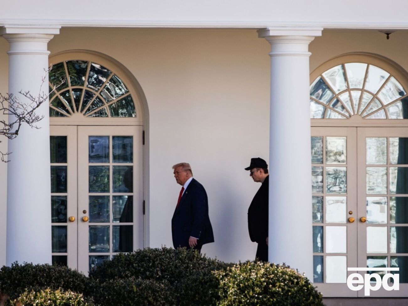 Медведев призвал Трампа и Маска "не ссориться"