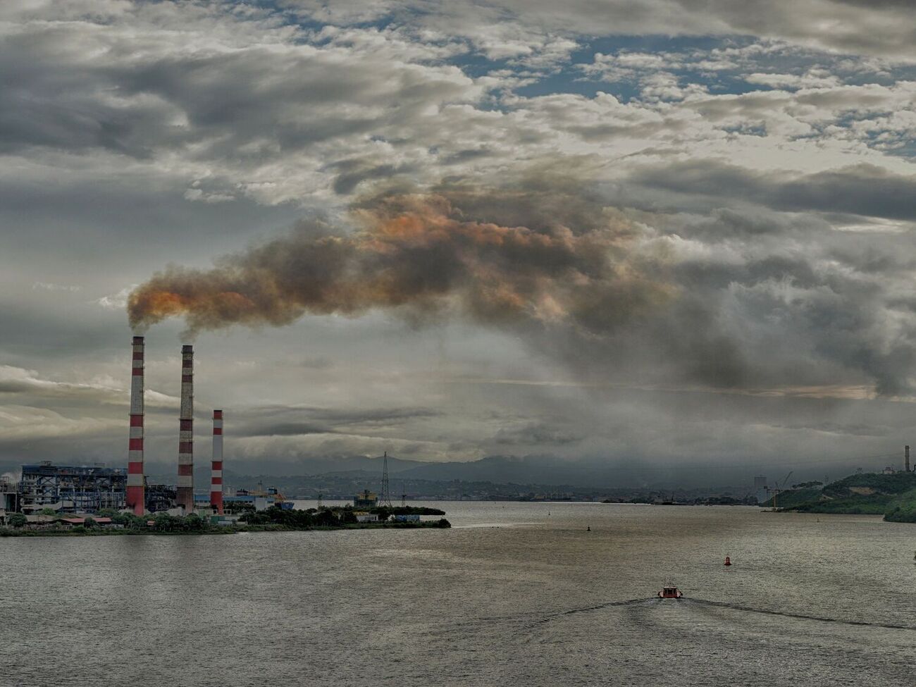 Многие украинские производители очень насторожены по поводу этого механизма, подчеркнула Верещинская