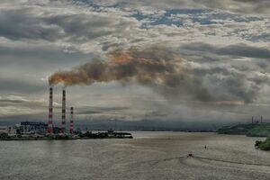 Многие украинские производители очень насторожены по поводу этого механизма, подчеркнула Верещинская