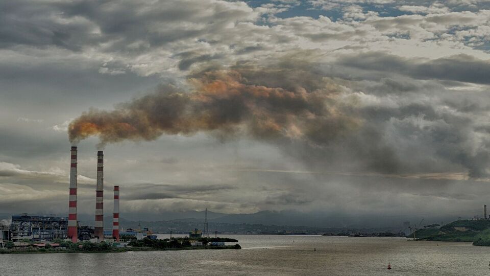 Многие украинские производители очень насторожены по поводу этого механизма, подчеркнула Верещинская