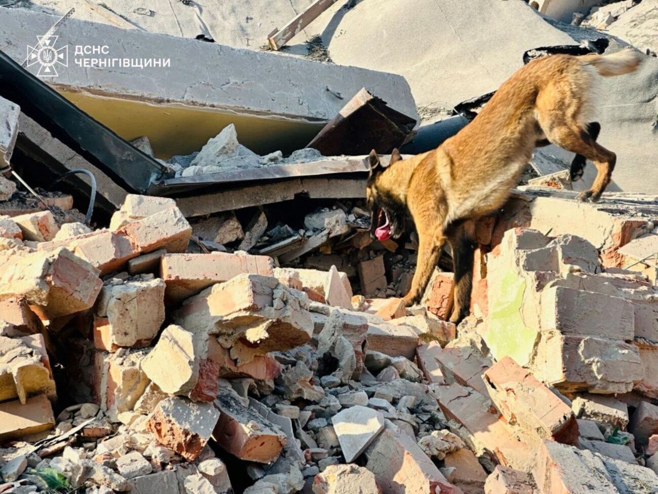 Поисково-спасательные работы продолжаются