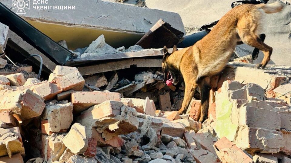 Поисково-спасательные работы продолжаются